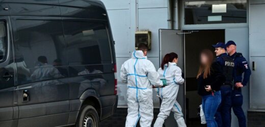 Zarzuty pięciokrotnego usiłowania zabójstwa dla nożownika z Olkusza