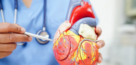 „Łaty” na sercu. Rewolucyjna metoda regeneracji po zawałach