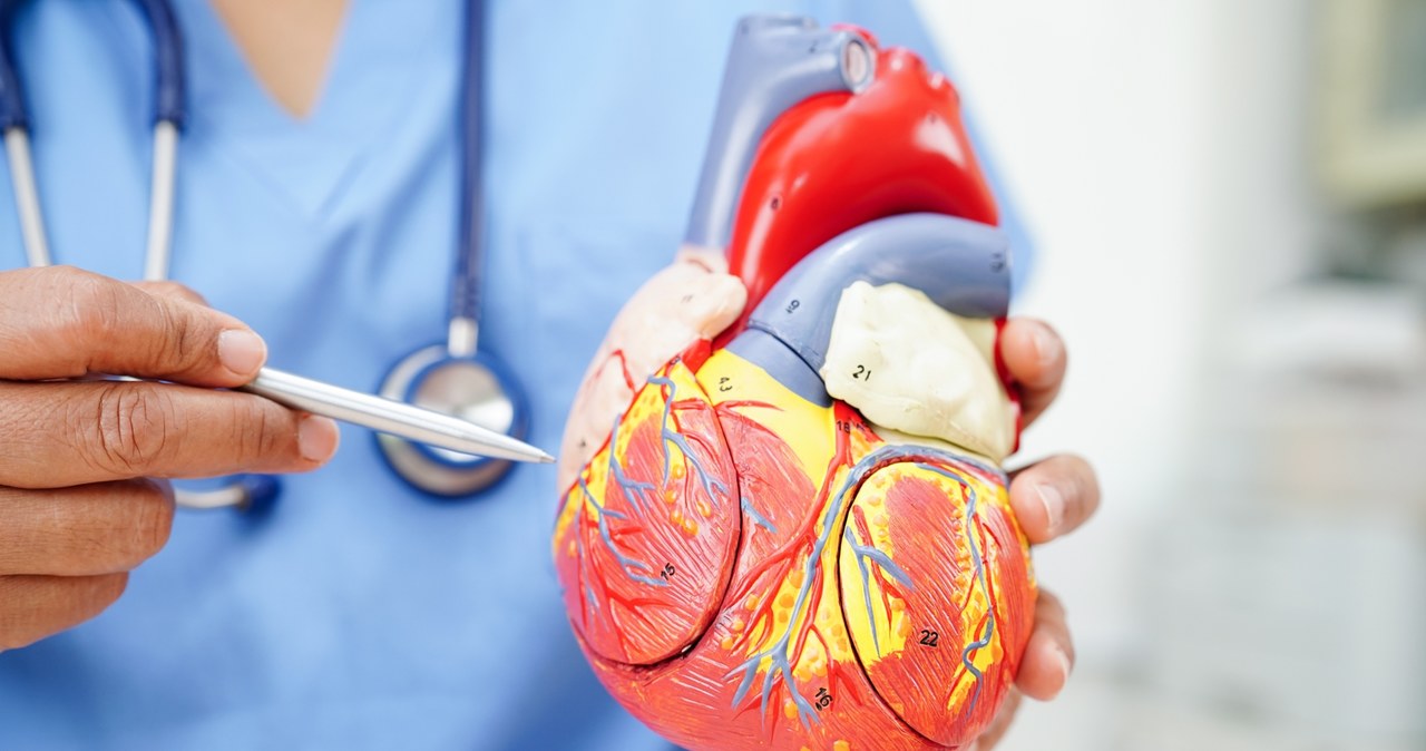 „Łaty” na sercu. Rewolucyjna metoda regeneracji po zawałach