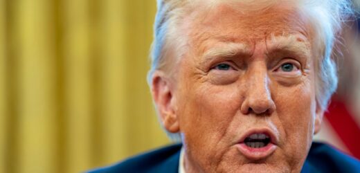 Prezydent Donald Trump murem za dolarem