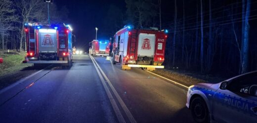 Nie żyje kobieta, dwoje dzieci jest w ciężkim stanie. Tragiczny wypadek koło Łagowa
