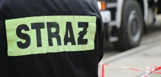 Pożar masarni w Janikowie opanowany