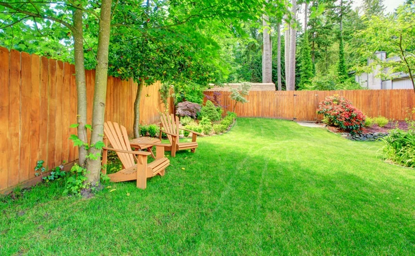 Trawnik będzie wyglądał jak zielony dywan. Skoś go po zimie w tym terminie