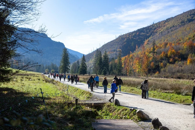 Tatrzańskie Wysranki w Dolinie Kościeliskiej. Ta nazwa nie wzięła się znikąd