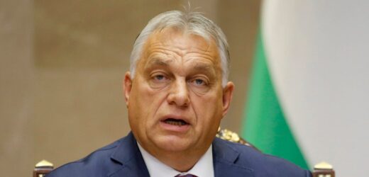 Orban zubożał. Węgierscy politycy opublikowali oświadczenia majątkowe