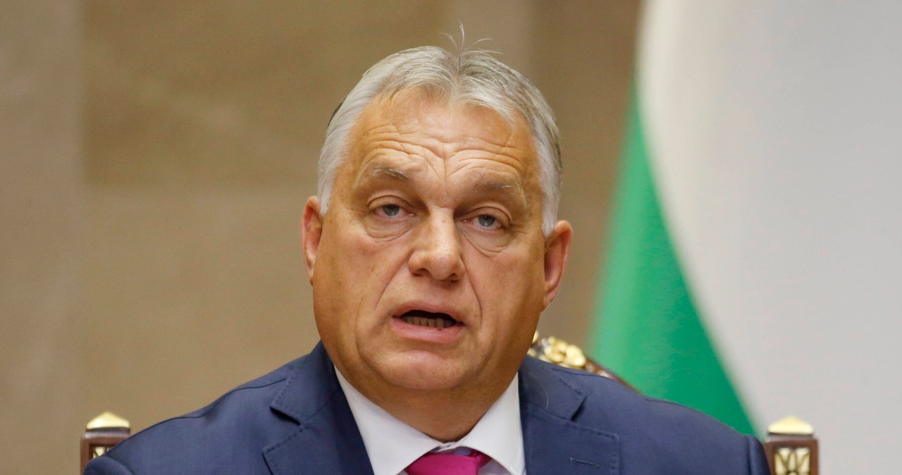Orban zubożał. Węgierscy politycy opublikowali oświadczenia majątkowe