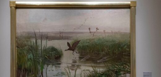 Dziś Chełmoński miałby problem. Te ptaki znikają z naszego krajobrazu