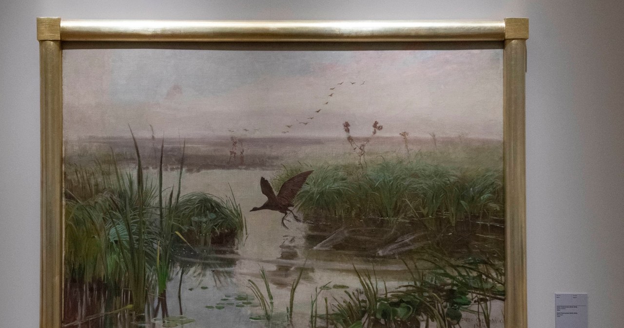 Dziś Chełmoński miałby problem. Te ptaki znikają z naszego krajobrazu