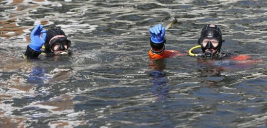 Nurkowie sprawdzą Most Siennicki. To istotna przeprawa dla mieszkańców Gdańska