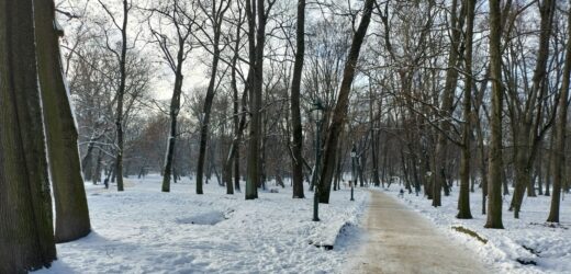 Co z tą zimą? Prognoza pogody na najbliższe dni
