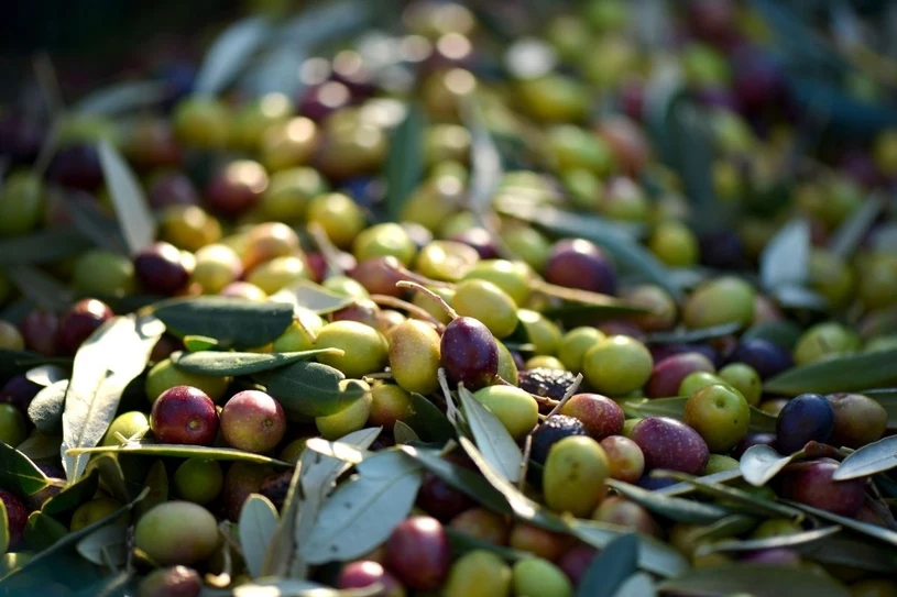 Dwie łyżki dziennie wspomogą utratę wagi. Naukowcy potwierdzają