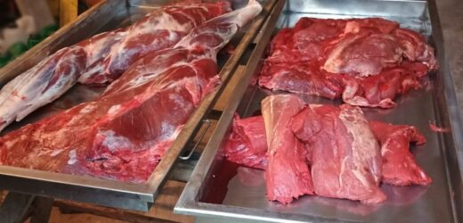 Ojciec i syn zatrzymani za kłusownictwo. Znaleziono u nich wydrę i łosia