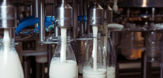 Wyciek amoniaku w łódzkiej mleczarni. Pracownicy ewakuowani