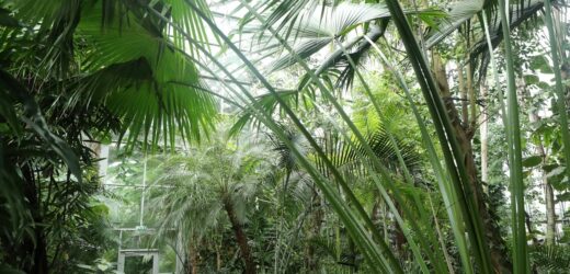 ​Ferie w Łodzi: Odkryj świat roślin i zwierząt podczas bezpłatnych warsztatów