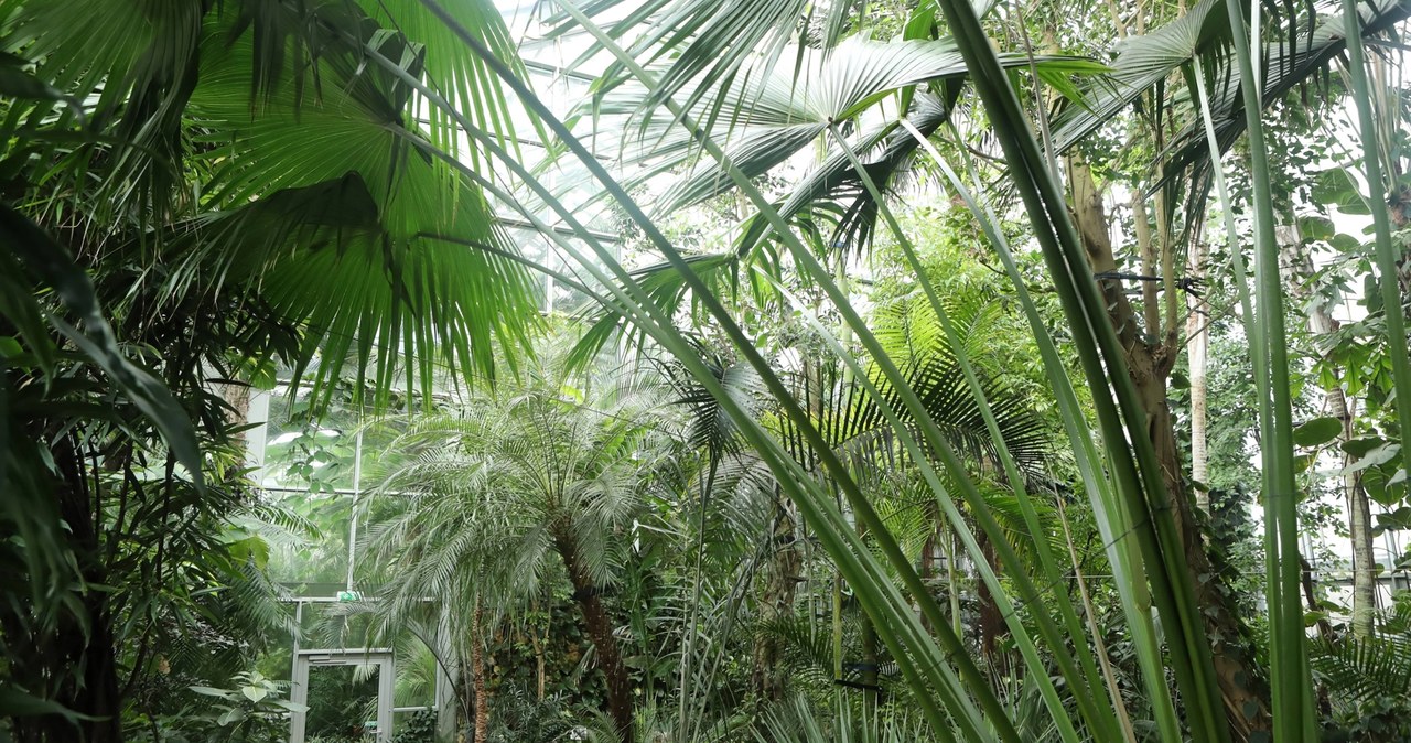 ​Ferie w Łodzi: Odkryj świat roślin i zwierząt podczas bezpłatnych warsztatów