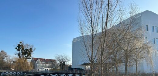 „Po prostu tam wyrosły”. Drzewa zostaną usunięte ze zbiornika retencyjnego w Sopocie