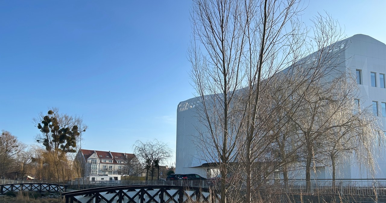 „Po prostu tam wyrosły”. Drzewa zostaną usunięte ze zbiornika retencyjnego w Sopocie