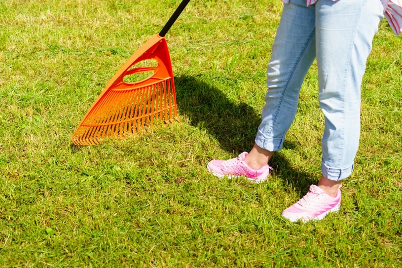 Doświadczeni ogrodnicy pamiętają o tym w lutym i marcu. Później trawnik wygląda jak z katalogu