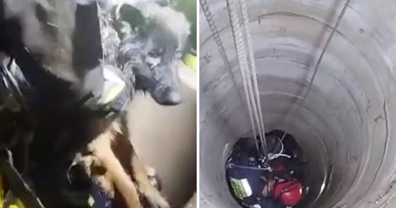 Pies wpadł do 15-metrowej studni. Strażacy ruszyli na pomoc [FILM]