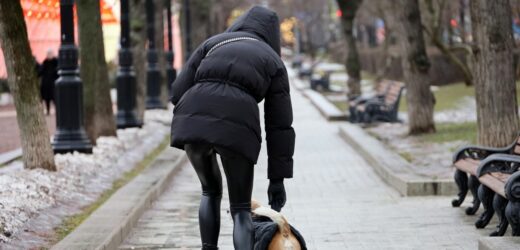 Trutka wymieszana z ziarnem. Nowe informacje ws. prób otrucia psów w Krakowie