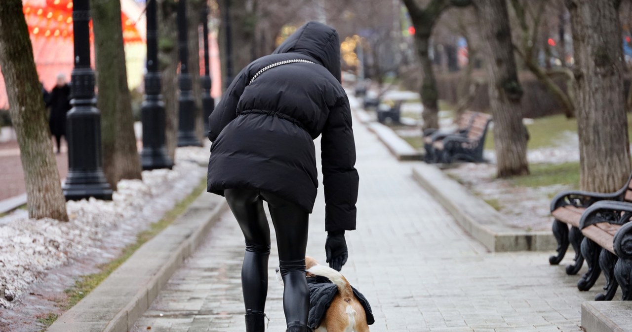 Trutka wymieszana z ziarnem. Nowe informacje ws. prób otrucia psów w Krakowie