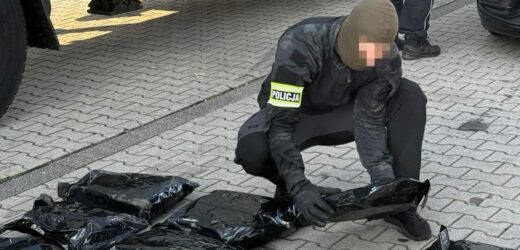 Gang przemycał narkotyki na gigantyczną skalę. Są kolejni zatrzymani