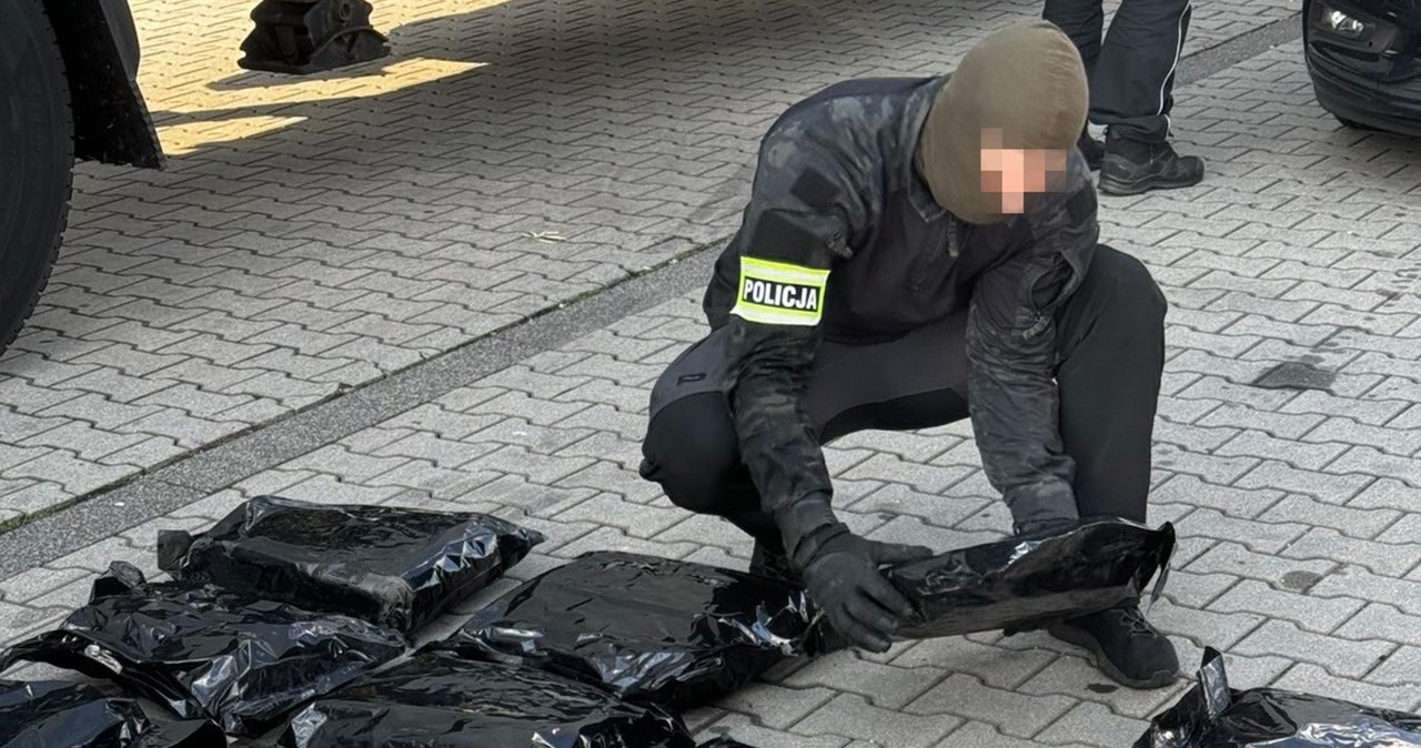 Gang przemycał narkotyki na gigantyczną skalę. Są kolejni zatrzymani