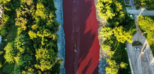 Woda w kanale zmieniła barwę. „Wygląda jak strumień krwi”