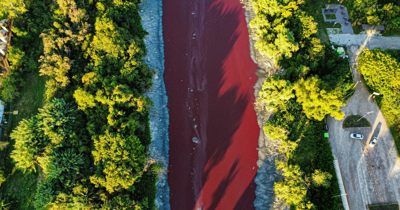 Woda w kanale zmieniła barwę. „Wygląda jak strumień krwi”