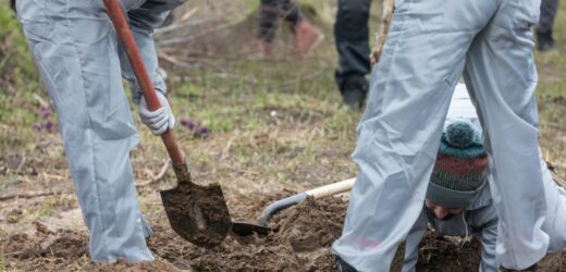 Ekshumacje na Wołyniu. Ukraina mówi o możliwym terminie