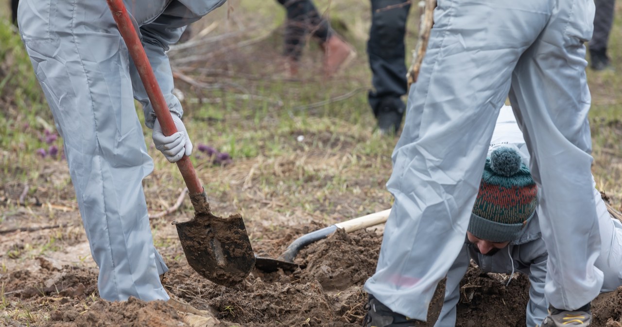 Ekshumacje na Wołyniu. Ukraina mówi o możliwym terminie