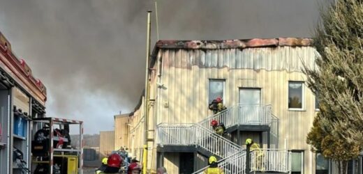 Pożar hali produkcyjnej w Cigacicach. Są wstępne ustalenia