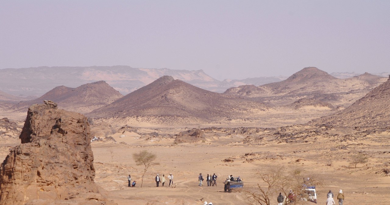 Makabryczne odkrycie na pustyni. Kilkadziesiąt ciał w zbiorowych mogiłach