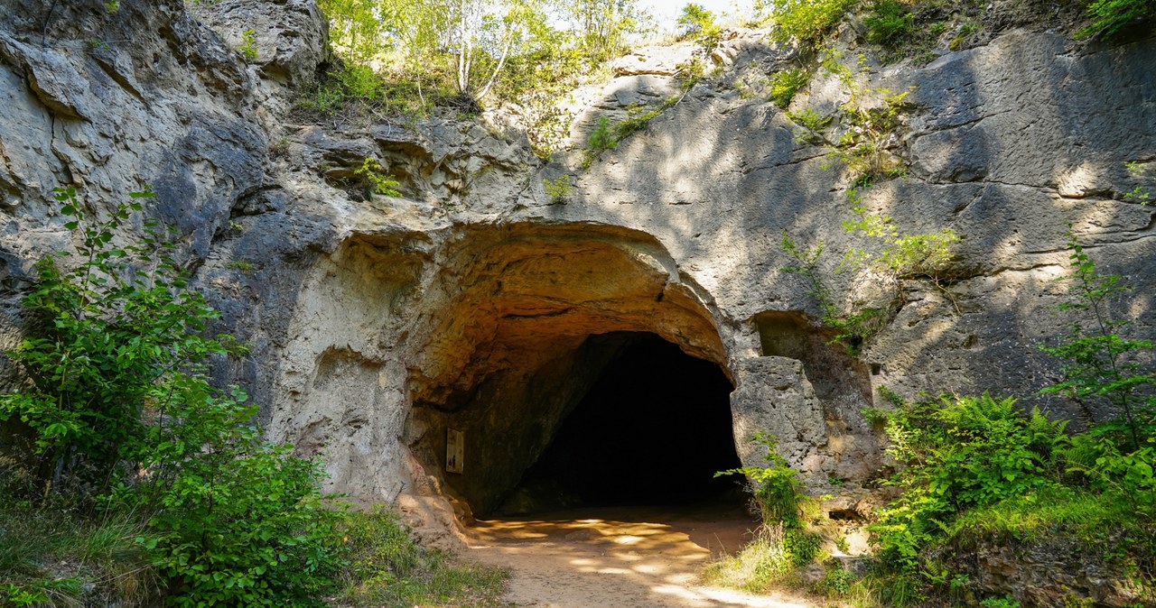 W małopolskiej jaskini mieszkali kanibale