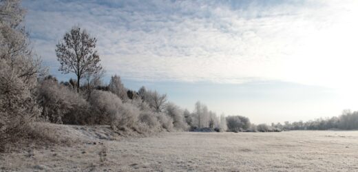 Szedł polami do domu. 60-latek z objawami hipotermii uratowany