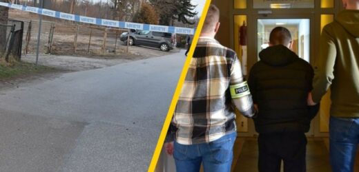 Brutalna bójka w Jarosławiu. Jest decyzja ws. zatrzymanych