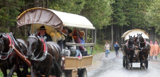 Związek Podhalan za utrzymaniem transportu konnego do Morskiego Oka