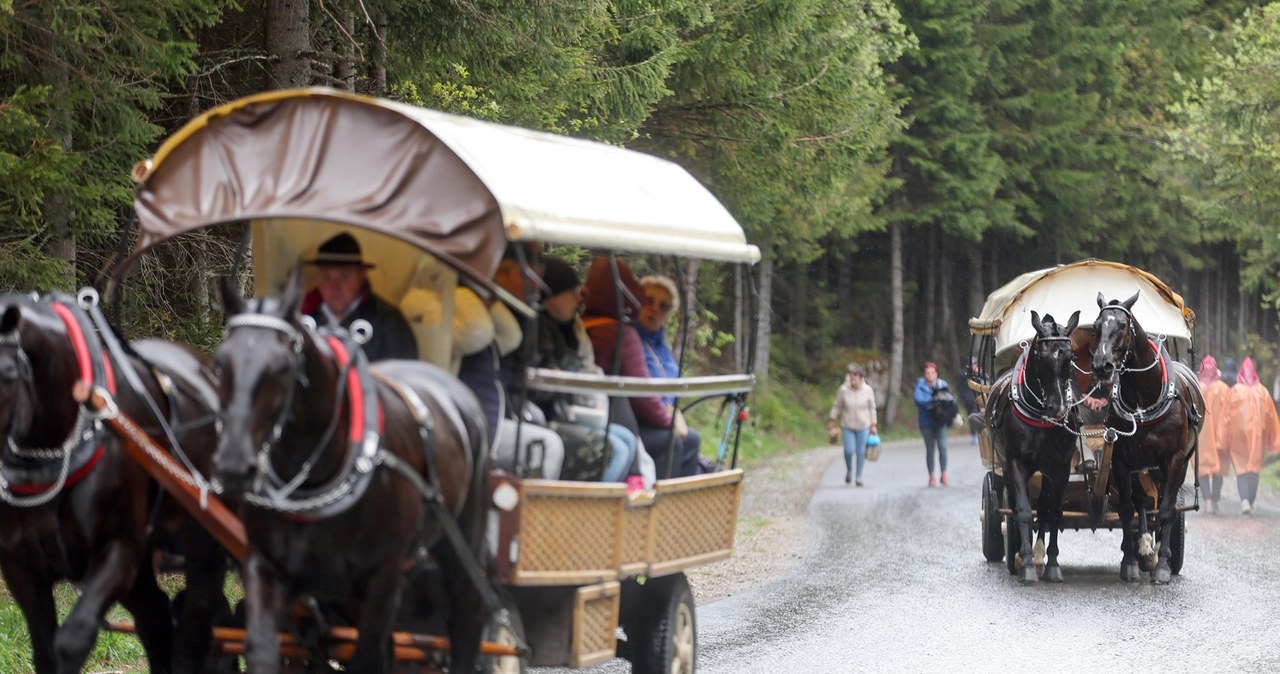 Związek Podhalan za utrzymaniem transportu konnego do Morskiego Oka