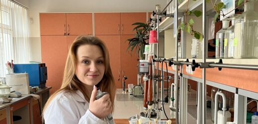 Bakterie naprawią nam budynki