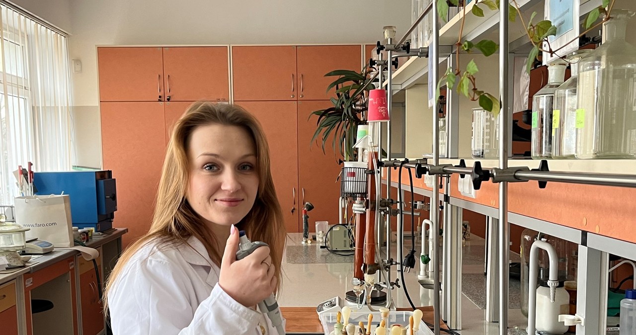 Bakterie naprawią nam budynki