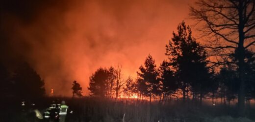 Potężny pożar w okolicach rezerwatu na Podkarpaciu. Całonocna akcja strażaków