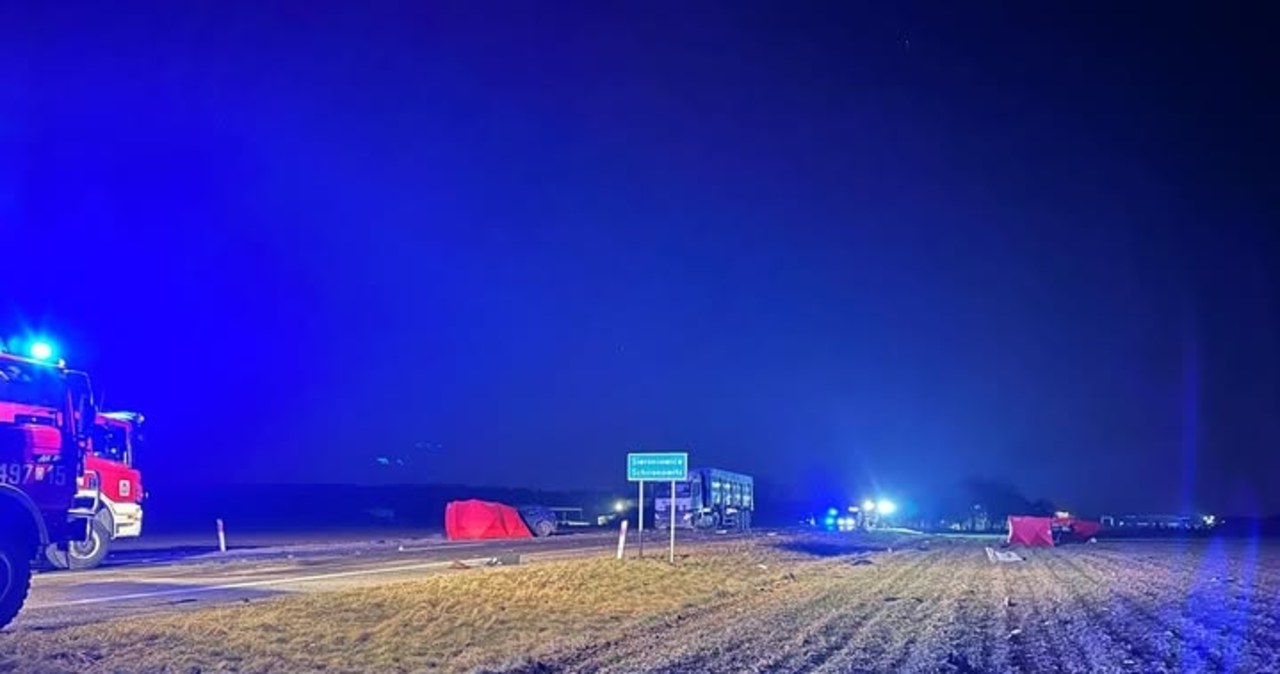 6-letnie dziecko wśród ofiar wypadku na Opolszczyźnie. Policja zatrzymała kierowcę