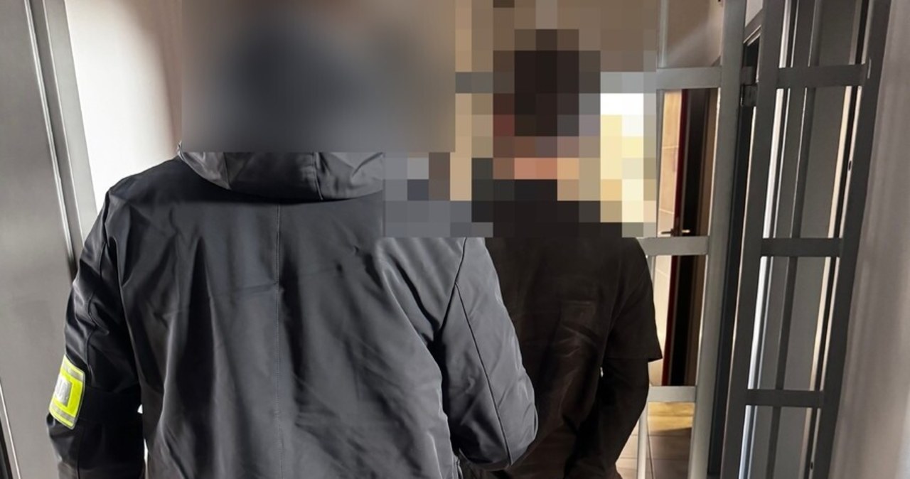 Był pobudzony, uszkodził ponad 40 aut. 17-latek aresztowany