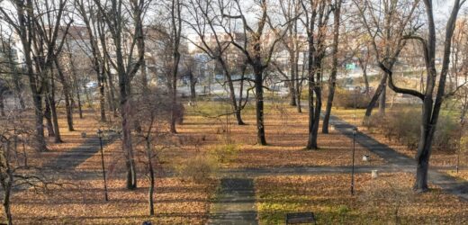 Park Bronowicki w Lublinie zostanie odnowiony