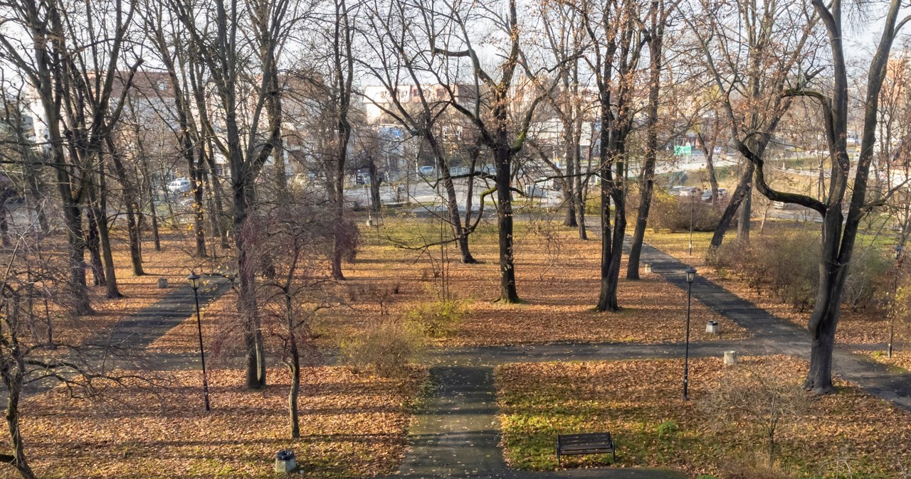 Park Bronowicki w Lublinie zostanie odnowiony