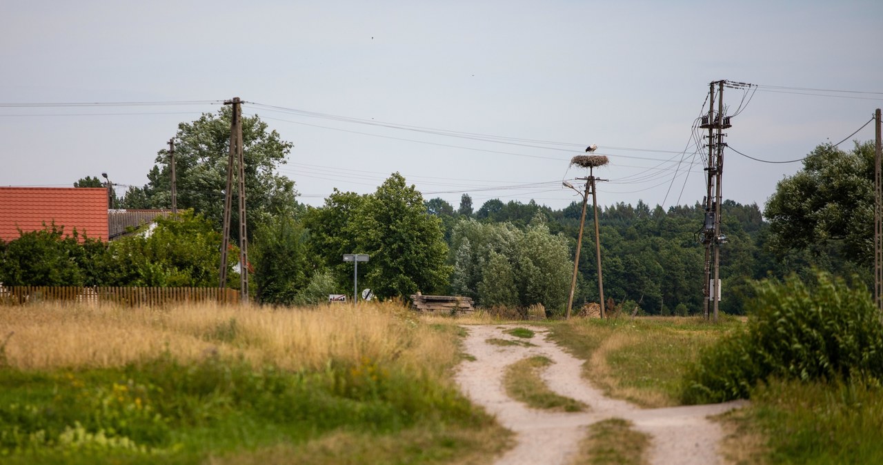 Makabryczna śmierć 48-latka, zagryzły go psy. Jest wyrok dla właściciela zwierząt