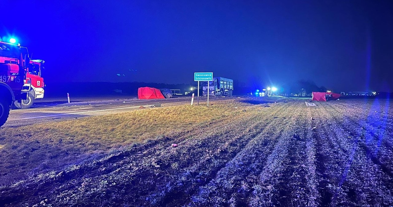 Trzy osoby zginęły, w tym dziecko. Jest areszt dla sprawcy tragicznego wypadku