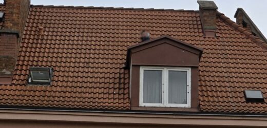 Przestępca ukrywał się na dachu. Policjanci ściągnęli go za pomocą wysięgnika