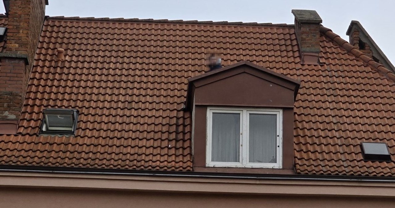 Przestępca ukrywał się na dachu. Policjanci ściągnęli go za pomocą wysięgnika