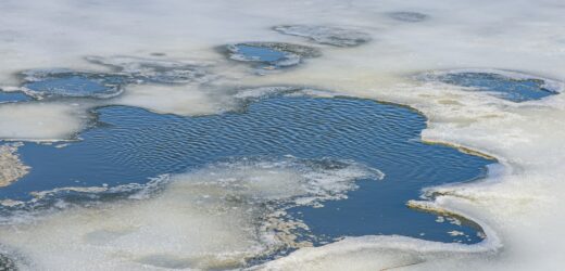 Pod 45-latkiem załamał się lód. Akcja strażaków w Olsztynie